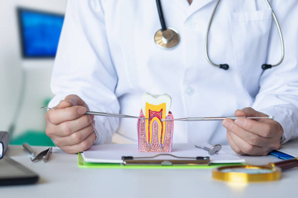 Best Emergency Gum Treatment in Steiner Ranch, TX